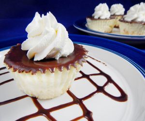 Mini Coconut Vanilla Cheesecakes