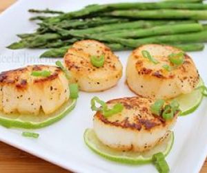 Scallops