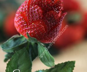 How to make Strawberry Roses