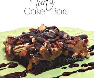 Turtle Cake Bars