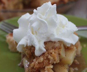 Easy Flakey Dutch Apple Pie