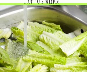 How to Keep Your Lettuce Fresh & Crisp