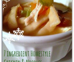 Homestyle Chicken & Noodles Soup