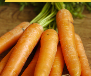 Carrot Fries