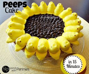 15 Minute Sunflower Peep Cake