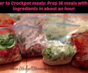 Freezer to Crock Pot Meals:  16 Meals with Fresh Ingredients