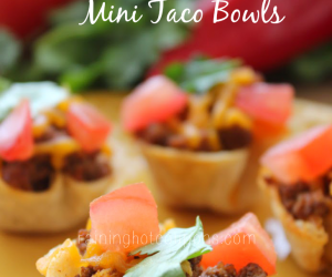 Mini Taco Bowls