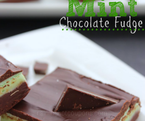 Andes Mint Chocolate Fudge