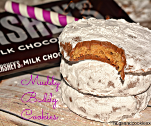 Muddy Buddy Cookies