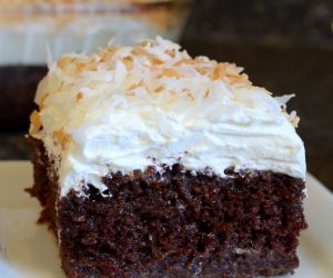 Chocolate Cream of Coconut Cake