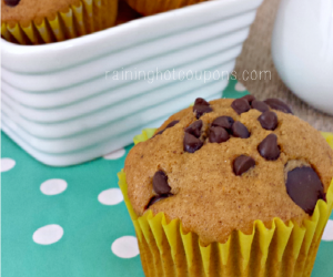 Banana Chocolate Chip Muffins