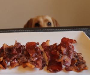 Sweet & Spicy Oven Cooked Bacon