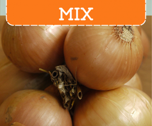 DIY Onion Soup Mix