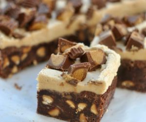 Chocolate Peanut Butter Brownies