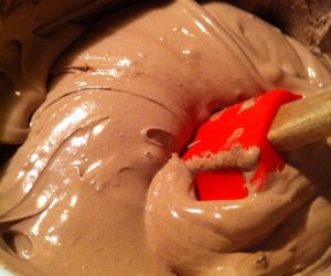 Homemade Chocolate Ice Cream