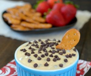 Salted Caramel Chocolate Chip Yogurt Dip