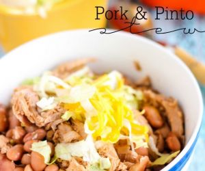 Slow Cooker Pork & Pinto Stew