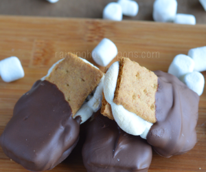 Smores Dunkers