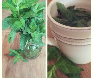 Fresh Mint Tea