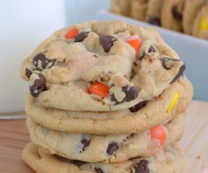 Peanut Butter Pudding Cookies