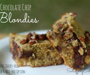 Grain Free:  Sugar Free: Chocolate Chip Blondie Brownies