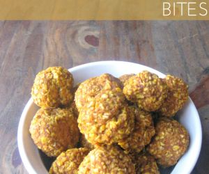 Pumpkin Oatmeal Bites