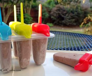 Frozen Yogurt Fudgsicles