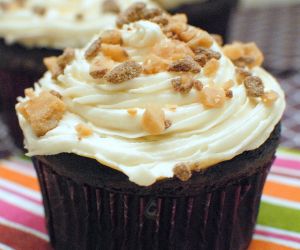 Chocolate Butterscotch Cupcakes