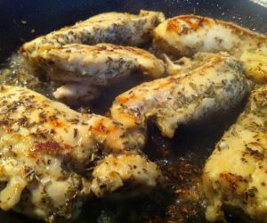 Greek Chicken Breast Tenders