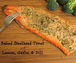 Quick & Simple Steelhead Trout