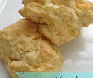 Quick & Easy Savory 3 Cheese Biscuits 