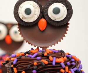 Reeses Owls