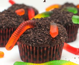 Pudding Filled Dirt Cupcakes