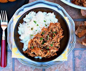 Honey Garlic Shredded Chicken