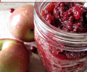 Easy Apple Cranberry Chia Seed Jam