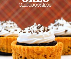 Pumpkin Oreo Cheesecake