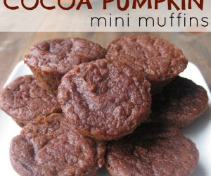 Fudgy Cocoa Pumpkin Mini Muffins