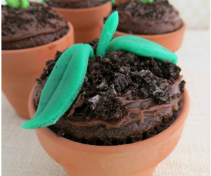 Chocolate Sprout Earth Day Dirt Cupcakes