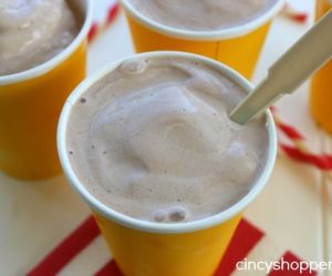 Copycat Wendy's Frosty