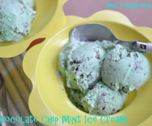 Mint Chocolate Chip Ice Cream