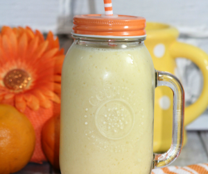 Orange Julius | Fruit Smoothie Replica