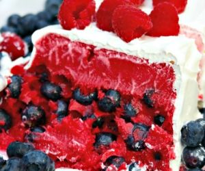 Raspberry Sorbet Cake with Blueberries