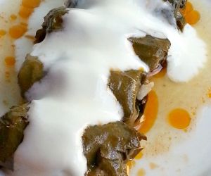 Stuffed vine leaves with meat
