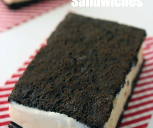 Homemade Ice Cream Sandwiches