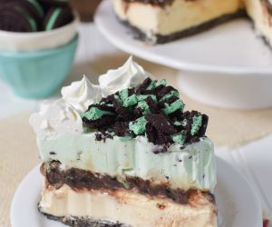 Vanilla Mint Chip Ice Cream Cake