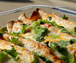 Chicken Enchiladas Recipe