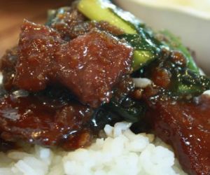 Mongolian Beef for 4 {For Around $10!}