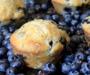 Blueberry Muffins from Scratch
