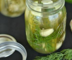 Deli Garlic & Dill Pickles