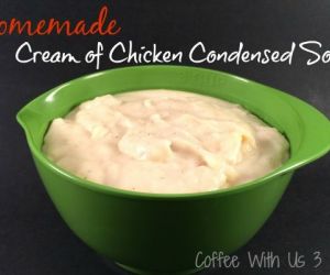 Homemade Cream of Chicken Condensed Soup